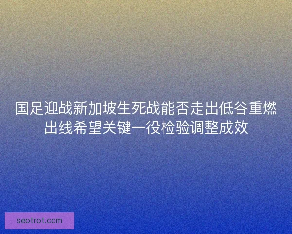国足迎战新加坡生死战能否走出低谷重燃出线希望关键一役检验调整成效